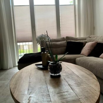 Woonkamer met lichtdoorlatende plisségordijnen op maat van Online Duorolgordijn